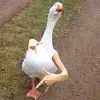 mr.BDuck - @tabbandy - TikTok