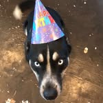 Andromeda Tabor - @andy_tabor - Instagram