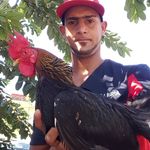 Andy Tavarez - @andy.tavarez.315 - Instagram