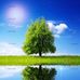 Andy Teller - Facebook