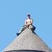Andrew Thibault - Facebook