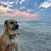 Andrea Blasucci Throckmorton - Facebook