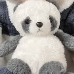 Andy Ting - @andyting1 - Instagram
