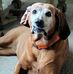Andy Titus - Facebook