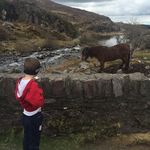 Andy Tomlinson - @andytomlinson2 - Instagram