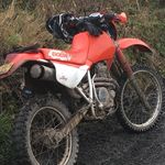 Andy Tomlinson - @melook1969 - Instagram