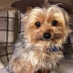 Andy Tomlinson - @tomlinson3589 - Instagram