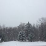 Andy Trapp - @andy_trapp240 - Instagram