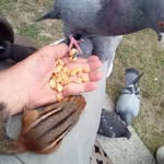 Andy Tremblay - @tremblayandy - Instagram