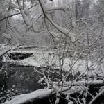 Andy Trewyn - @andytrewyn - Instagram