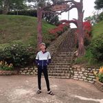 Andy Trieu - @andytrieu63 - Instagram