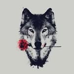 Andy Trinh - @rasckhal - Instagram