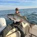 Andrew Truitt - Facebook