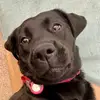 Andy_trusty - @andy_trusty - TikTok