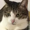 Andy90913 - @andytseng1025 - TikTok