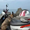 北投劉德華 - @andytseng1984 - TikTok