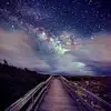 user4925538551458 - @andytseng831 - TikTok
