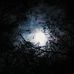 Andy Tsoi - Facebook