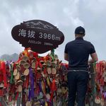 Andy Tsoi - @andy.tsoi.5458 - Instagram