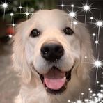 Andy Tunaley - Facebook
