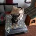 Andy Ulrich - Facebook
