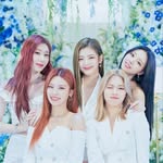 Andy Umaña - @andy_army_blink_midzy - Instagram