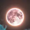 Andy Umaña - @andy.umaa4 - TikTok