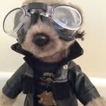 Andy underwood - @underwood3040 - Instagram