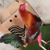 andyurbina7 - @andyurbina7 - TikTok