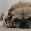 Andy Burness - @andy.burness - TikTok