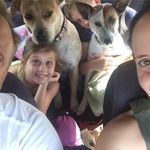 Andy Vance - @vance_andy - Instagram