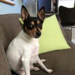 Andrew VanderLinden - @vanderlindena1 - Instagram