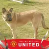 andyvanderlinden9 - @andyvanderlinden9 - TikTok