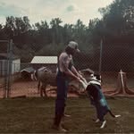 Andy VanDyke - @kingnanners - Instagram