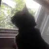 Andy Vanegas - @andy.vanegas97 - TikTok