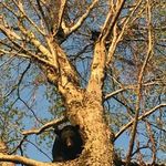 andrew vanmeter - @vanmeter6 - Instagram
