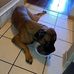 Andy Vann - Facebook