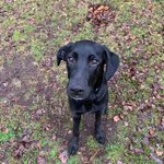 Andy Van Overwaele - @andyvanoverwaele - Instagram