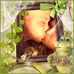 Susan-Andy Vawter - Facebook