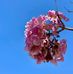 Andy Vaz - Facebook