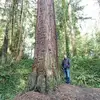 andyveenstra92 - @andyveenstra92 - TikTok