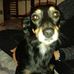 Andy Veith - Facebook