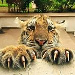Andy Velez - @andy.velezgiraldo.58 - Instagram