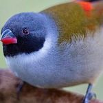 Andrew Venn - @andy_venn - Instagram