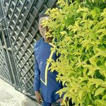 Andy venn - @venn7455 - Instagram