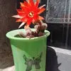 Andy Vitale - @andy.vitale - TikTok