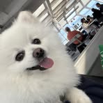 Andy Vo - Facebook