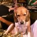 Andy Waite - Facebook