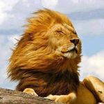 Andy Waite - @kingstonian111 - Instagram