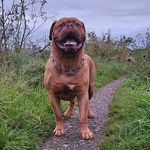 Andy Walls - @wallzer - Instagram